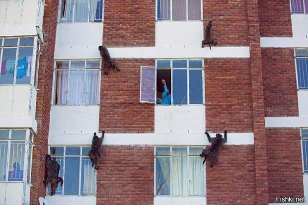 b0a101b4dcbfdf0ea9a26ba492111276 (634x423, 200Kb)