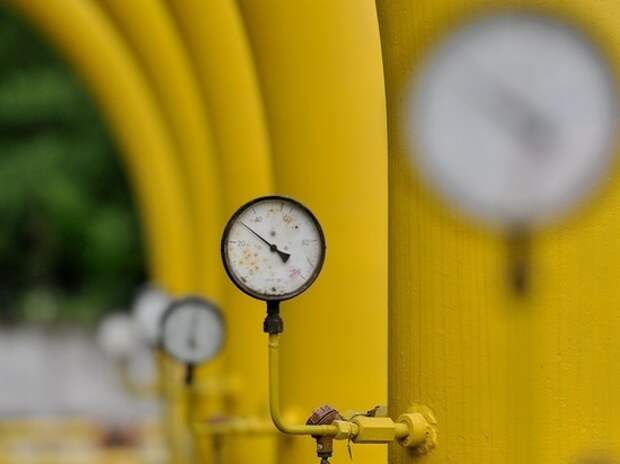 В Германии испугались возможного прекращения поставок российского газа Путиным