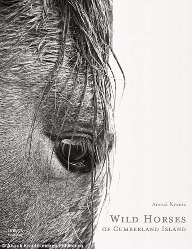 Свои фотографии фотограф Анук Кранц выпускает отдельной книгой под названием Wild Horses of Cumberland Island.