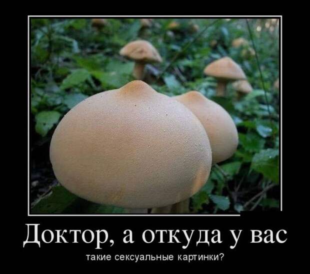 Демотиваторы (30 фото) Демотиваторы (30 фото)