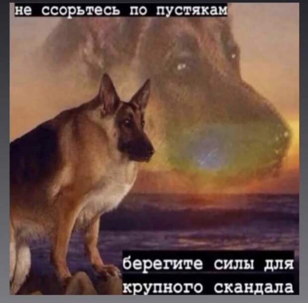 Лучшие шутки и мемы из Сети