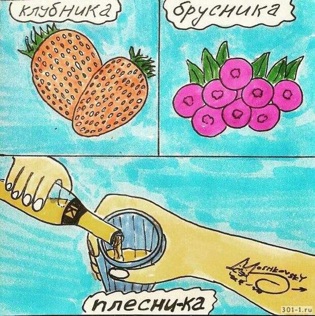 Шутки и мемы про алкоголь