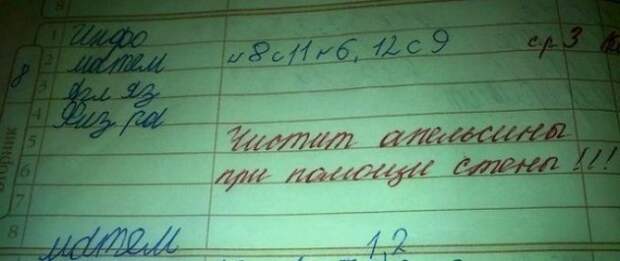 Весёлые записи в школьных тетрадках и дневниках дневник, записи