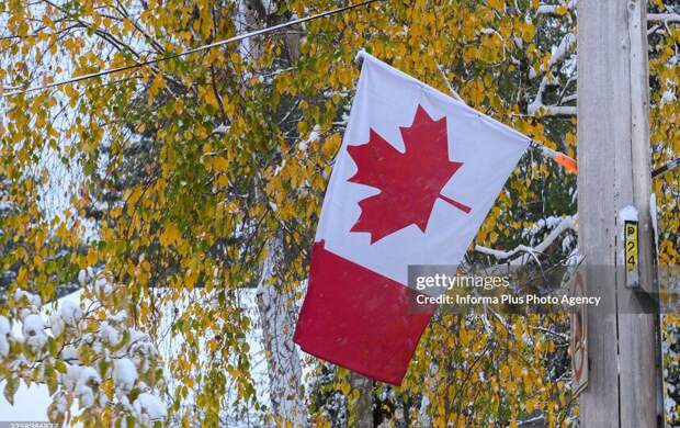Канадские визовые центры в России полностью прекратили прием документов