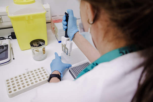 Роспотребнадзор начал проверку из-за подозрения на оспу обезьян в Подмосковье