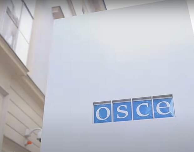 ОБСЕ отказалась направлять наблюдателей на выборы в Госдуму на наших условиях