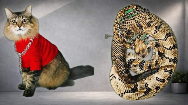 Голливудская драма за кадром: чем расплачивались за роли животные-актеры?