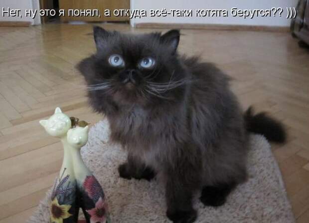 Мысли вслух :)
