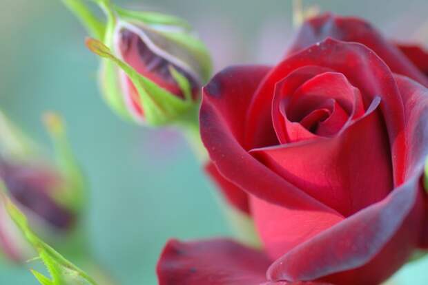 Есть только миг между прошлым и будущем... Есть только миг между прошлым и будущем...