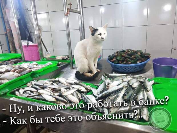 Ну, и каково это работать в банке?