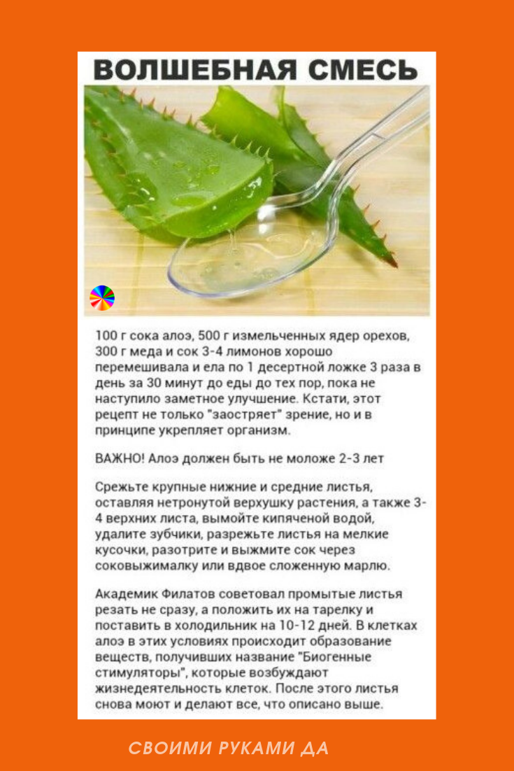 Народные средства для укрепления иммунитета и знаше здоровье