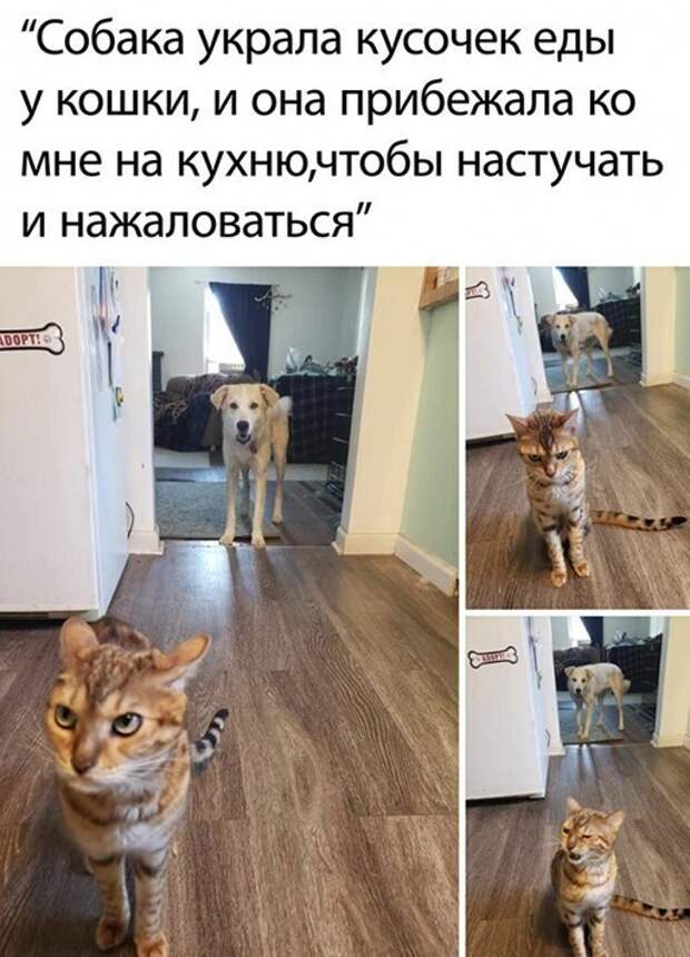 Юмор по понедельникам