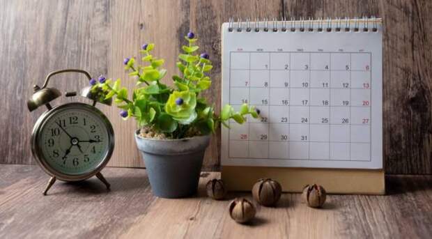 День пограничника и День брюнеток: какие еще праздники и памятные даты значатся в календаре 28 мая 2024 года
