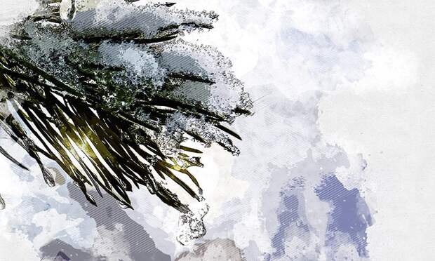 Виды заснеженного «Орловского полесья» восхитили орловцев