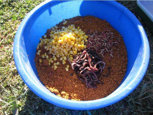 Самый большой лещ в мире. Можно ли найти трофей сейчас?