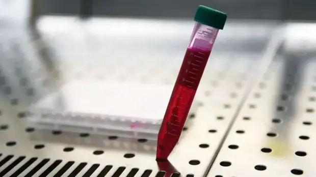 В Курчатовском институте рассказали о ситуации в генетике