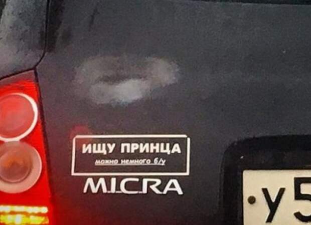 В поисках второй половинки (22 фото)