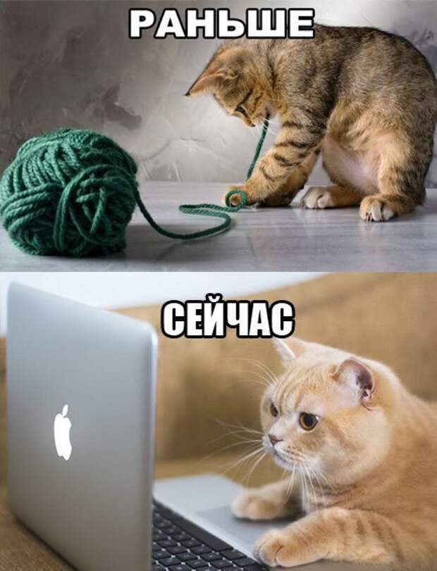 Картинки по запросу картинки с надписью ржака