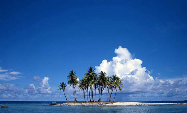 Источник фото: Unsplash