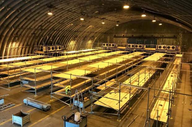 Британский офицер: Воевать с Россией нечем – всё отдали Украине