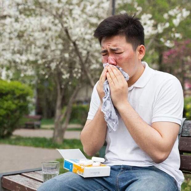 Эксперт дала рекомендации для аллергиков в сезон «пыльцевого шторма»