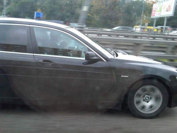 Прикольные картинки Прикольные картинки