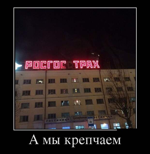 Подборка забавных и смешных демотиваторов для настроения (11 фото)