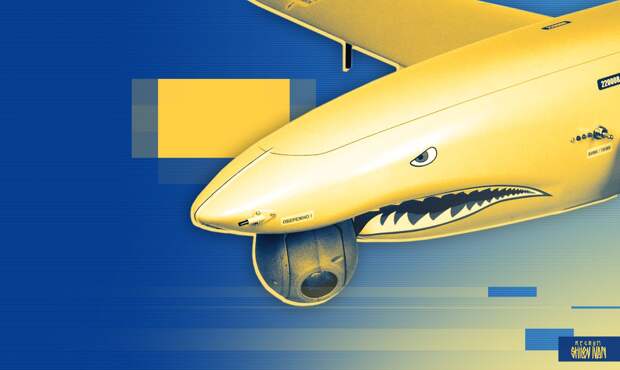 Украинский БПЛА