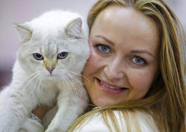 Выставка кошек в Риме Выставка кошек в Риме