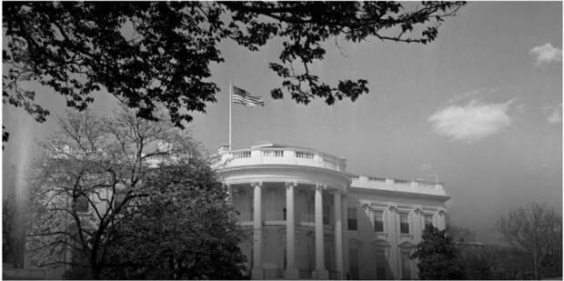 3 Белый дом черные мешки