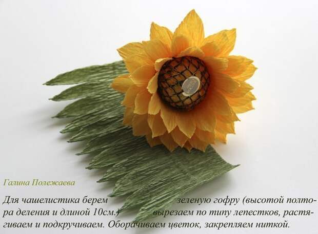 Подсолнухи