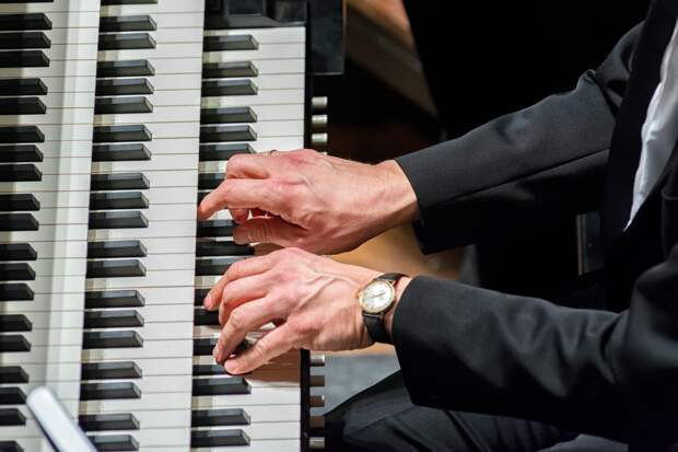 Концерт «Органный вечер в соборе. Играет Алексей Семёнов» в Римско-католическом Кафедральном соборе