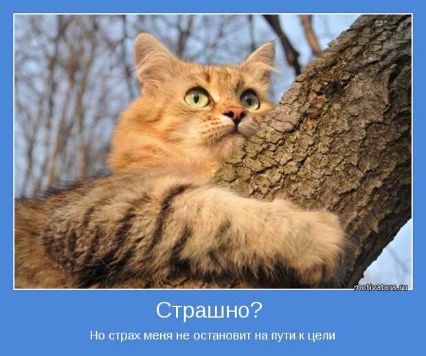 Позитивные мотиваторы с глубоким смыслом (10 фото) Позитивные мотиваторы с глубоким смыслом (10 фото)