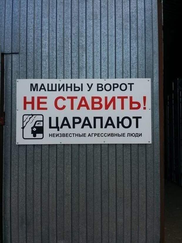 kartinok-prikolnyh-podborka-kartinki-smeshnye-kartinki-fotoprikoly