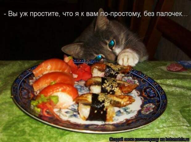 Котоматрицы(картинки с надписями)