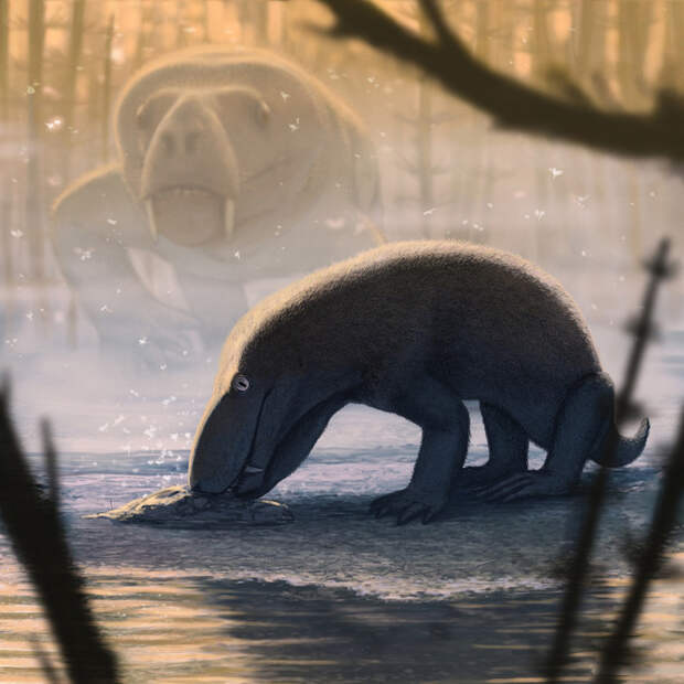 Горгонопс Nochnitsa (на переднем плане) и тероцефал Gorynychus (на заднем плане). /Иллюстрация Андрея Атучина Горгонопс Nochnitsa (на переднем плане) и тероцефал Gorynychus (на заднем плане). /Иллюстрация Андрея Атучина