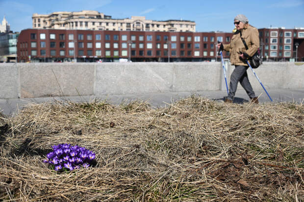 Синоптик Ильин: похолодание ожидается в Москве на следующей неделе