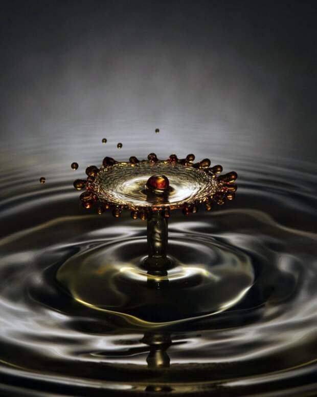 Фотография: Без фотошопа (часть 2) №10 - BigPicture.ru