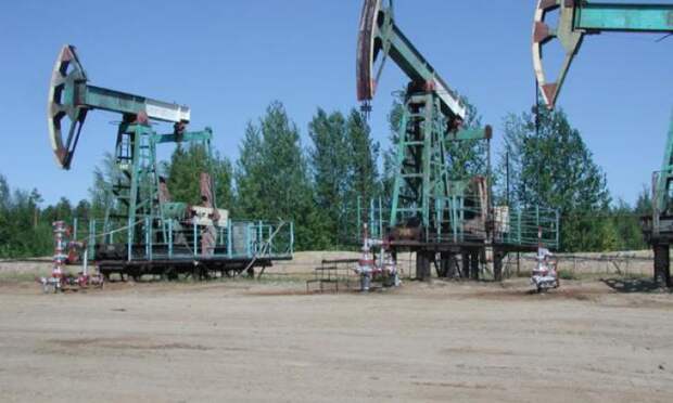 цена на нефть: торги закончились разнопланово