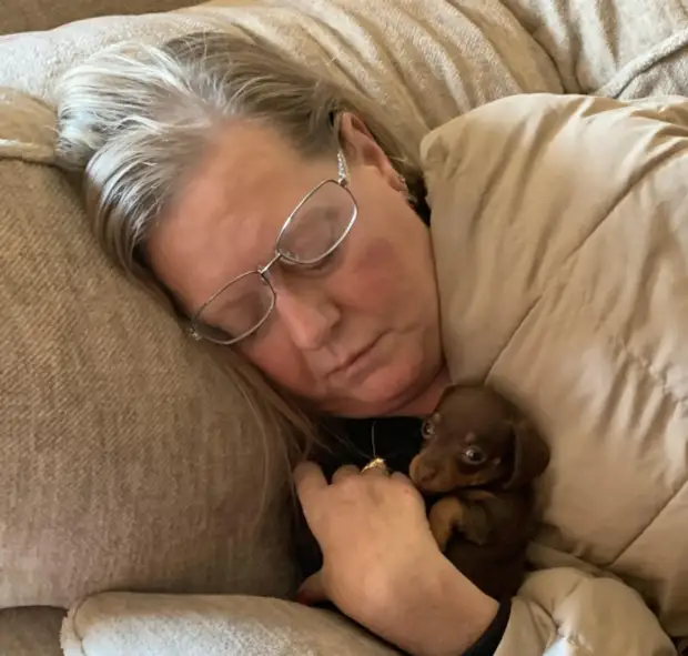 17 пушистиков, которые принесут вам большую порцию серотонина