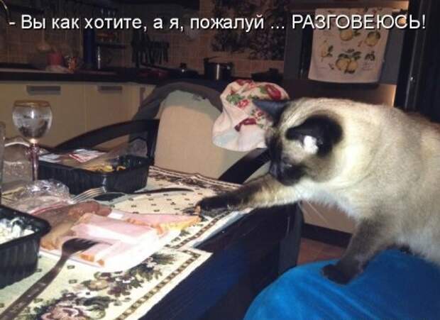 Субботний позитивчик (30 фото)