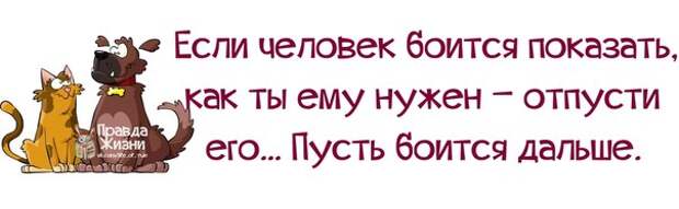 Пусть бояться. Если человек боится показать. Если человек боится показать как. Если человек боится показать как ты ему нужна. Пусть боится дальше.