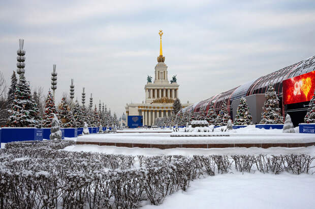Психотерапевт Кокоткина: дефицит солнечного света снижает работоспособность