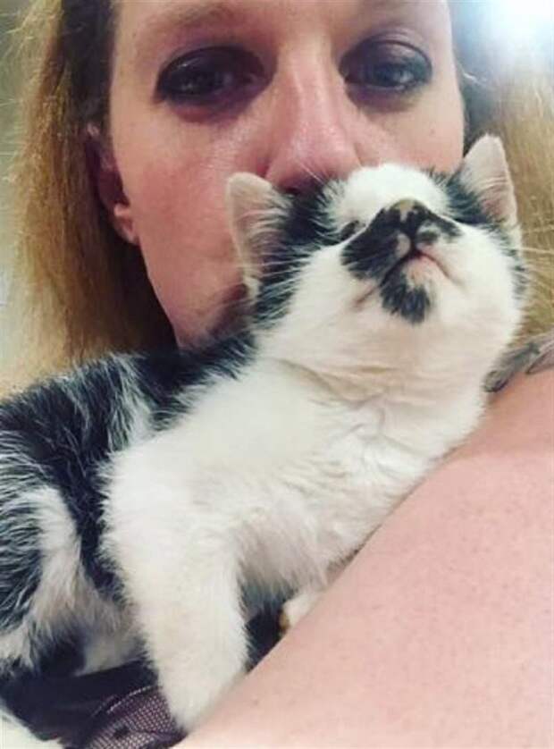 Женщина случайно услышала крик слепого котёнка в приюте и не смогла уйти оттуда без него