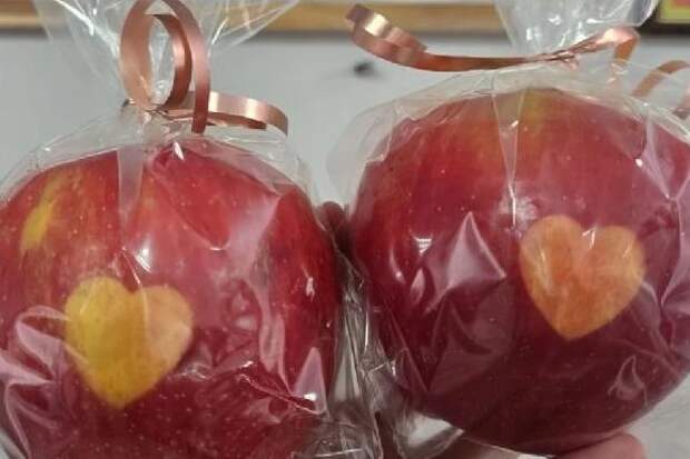 Тамбовский фермер вырастила яблоки с сердечками