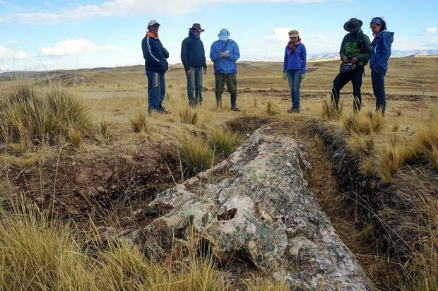 Источник: https://ria.ru/20200828/derevo-1576455456.html