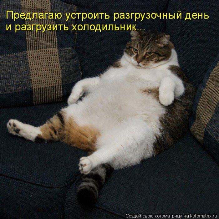Мысли вслух :)