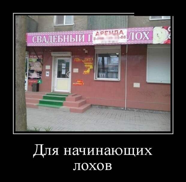 Демотиваторы (30 фото)