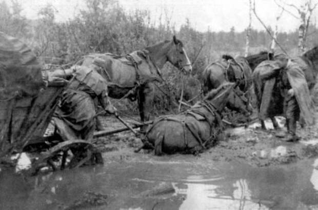 Моменты Великой Отечественной Войны война, история, фото