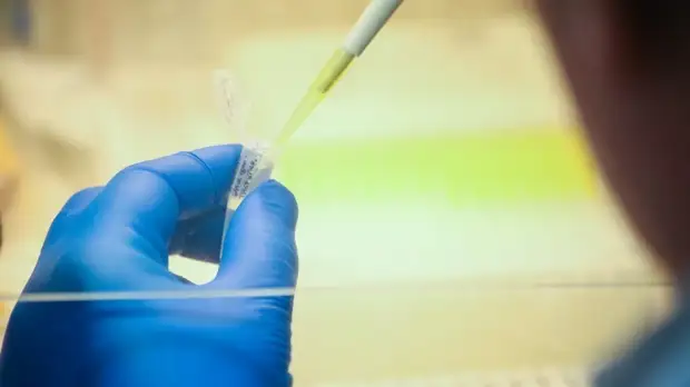 Назван способ определения повторного заболевания COVID-19